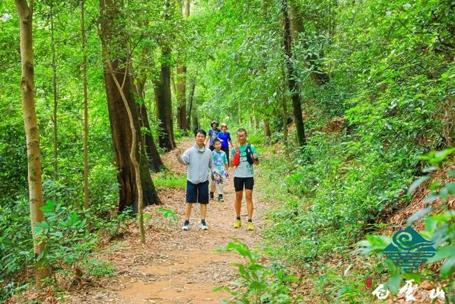 全程无台阶！广州白云山悄悄上新了！(图2)