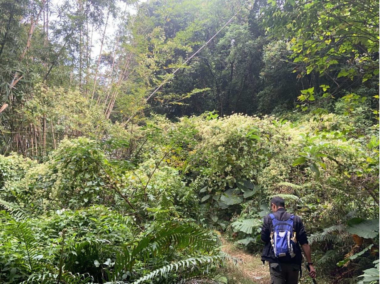 M6米乐平台：黄埔区高质量谋划2024年度林业有害生物防治工作(图1)