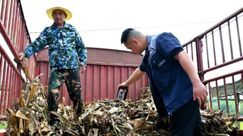 岳池重构科技赋能农业、环保链接效益的农业生产逻辑——粮食稳产增收秸秆科学还田(图4)