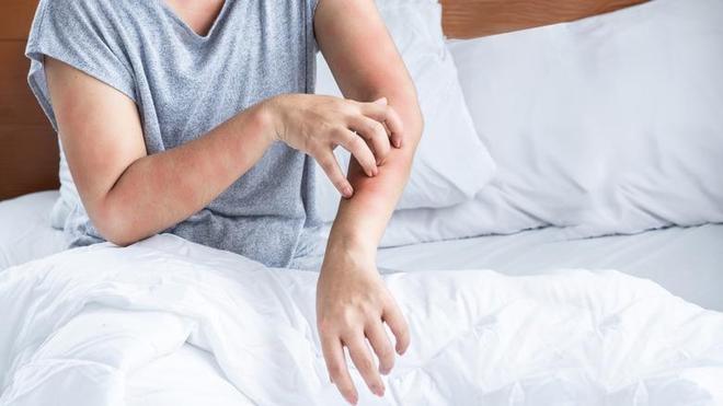 M6米乐：新泽西州臭虫泛滥教你几招轻松应对！