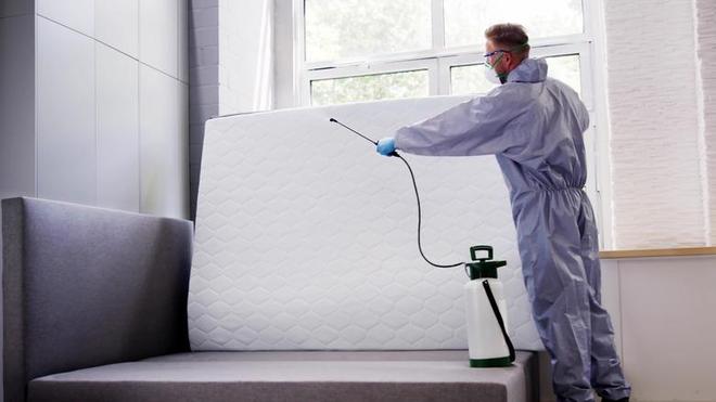 M6米乐：新泽西州臭虫泛滥教你几招轻松应对！(图2)