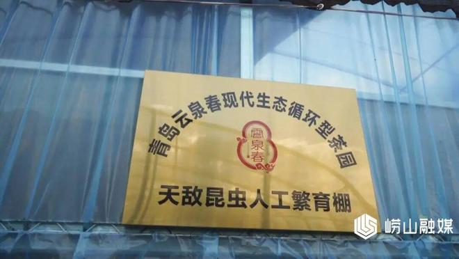 M6米乐平台：【走在前当排头】崂山区：生态循环茶园探索农业绿色转型新路径(图3)