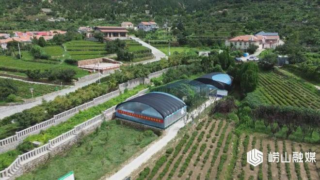 M6米乐平台：【走在前当排头】崂山区：生态循环茶园探索农业绿色转型新路径(图6)