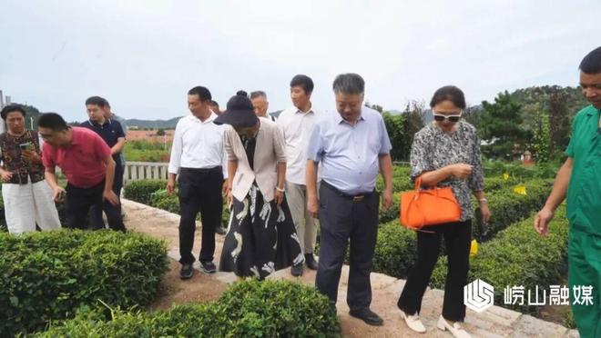 M6米乐平台：【走在前当排头】崂山区：生态循环茶园探索农业绿色转型新路径(图2)