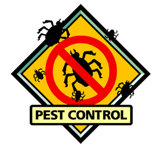 除虫防虫的小妙招