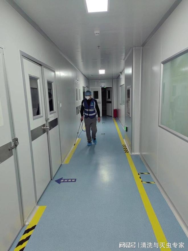 深圳上门杀虫电话