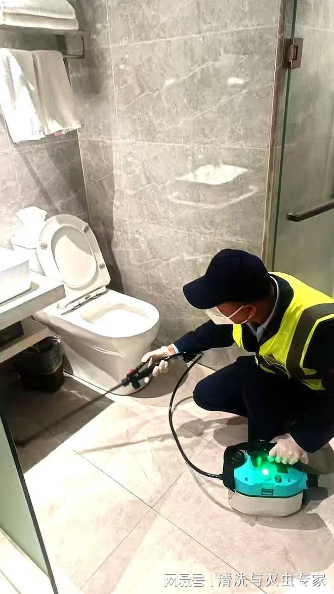 深圳上门杀虫电话(图3)