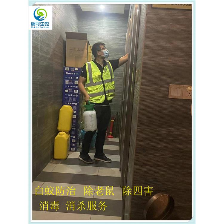 新会害虫防治服务(图2)