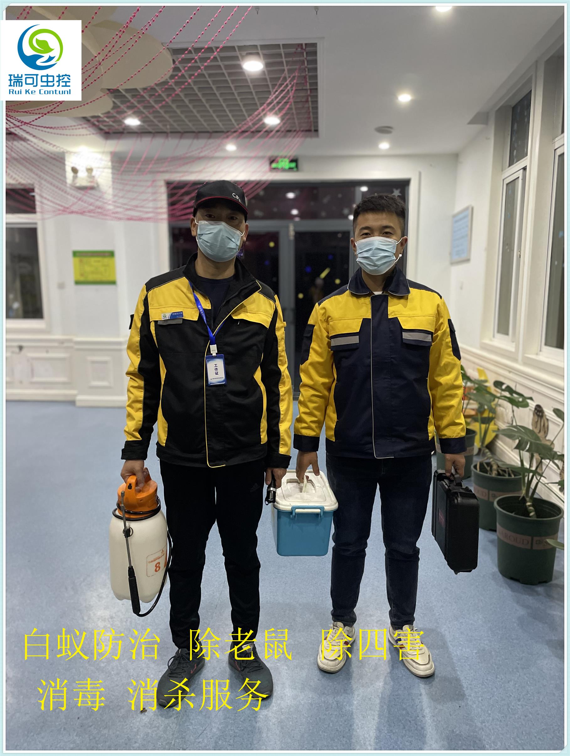 新会害虫防治服务