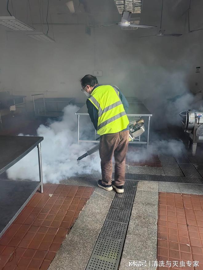 清溪专业杀虫多少钱