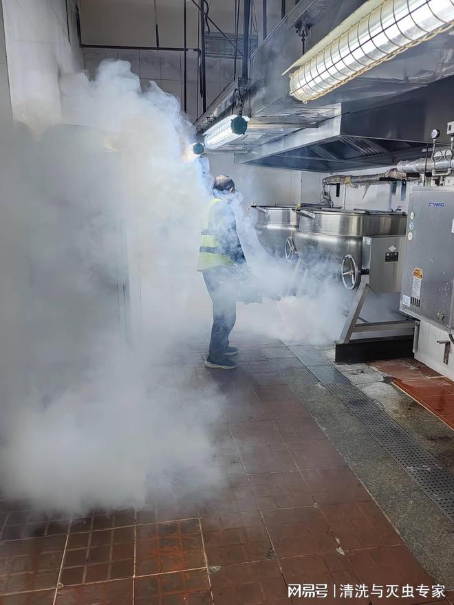 清溪专业杀虫多少钱(图2)