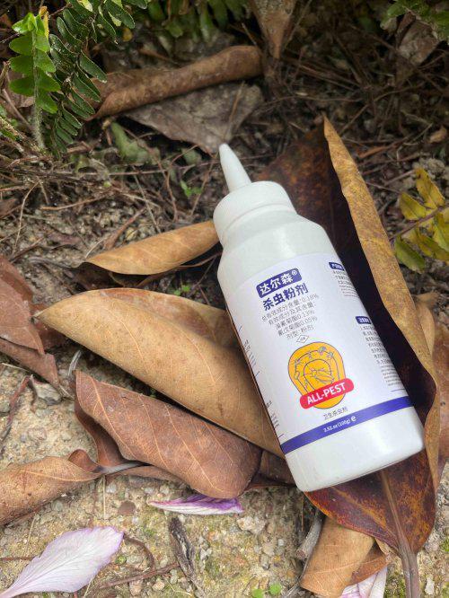 2025小红蚂蚁家里如何去除杀红蚂蚁的特效药哪款好！(图2)