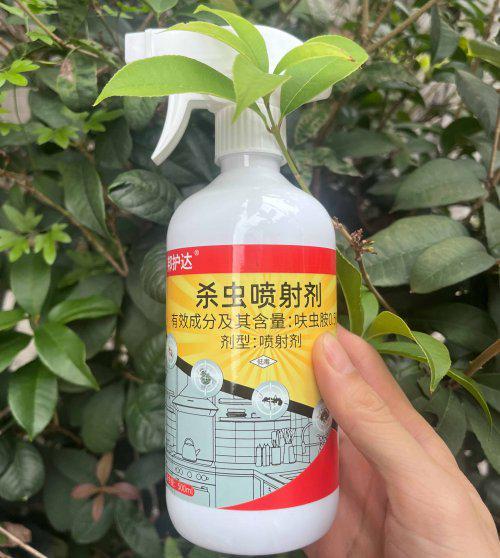 2025小红蚂蚁家里如何去除杀红蚂蚁的特效药哪款好！(图3)