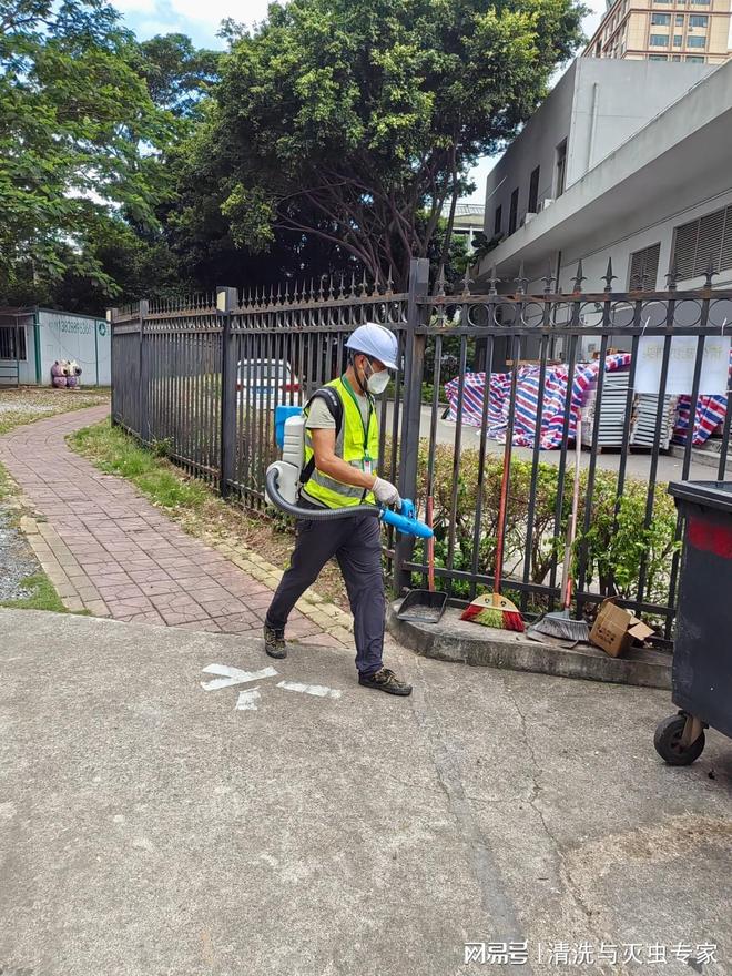 深圳杀蟑螂费用