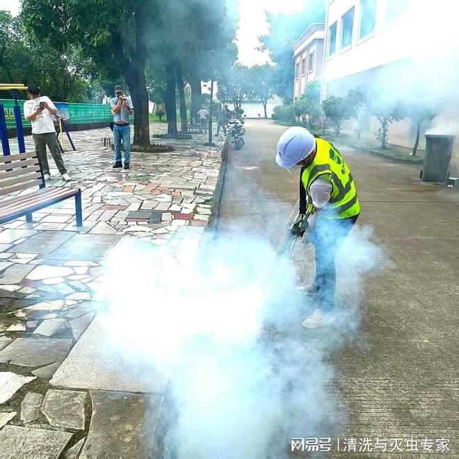 深圳杀蟑螂费用(图2)