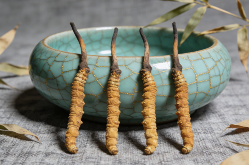 冬虫夏草十大品牌全面对比：纯度、产地溯源、复购率真实呈现