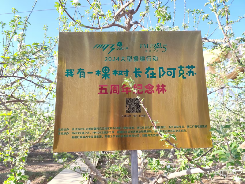 治沙攻坚看新疆｜甜“破”风沙门外汉“炼”成冰糖心带头人(图1)