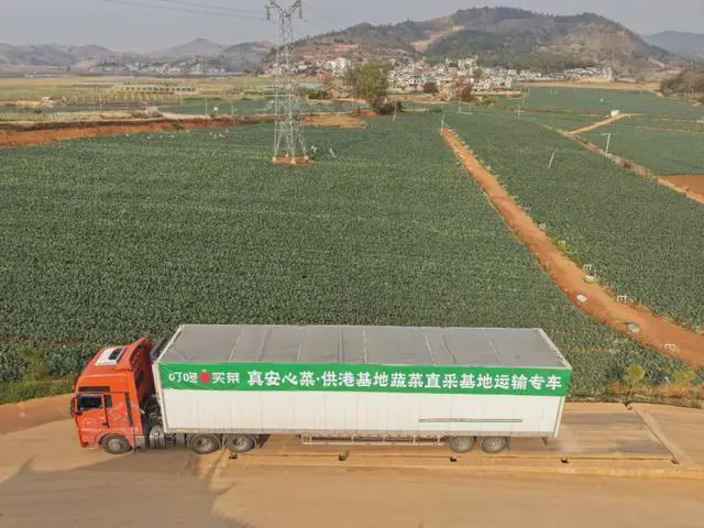 从水产到蔬菜叮咚买菜又给友商上了一课(图3)